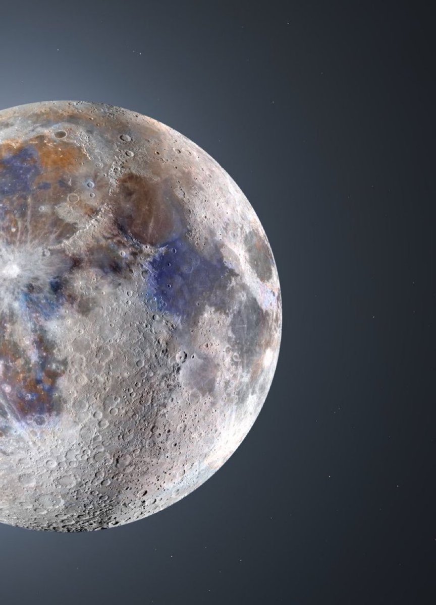 MOON LOVER tweet media