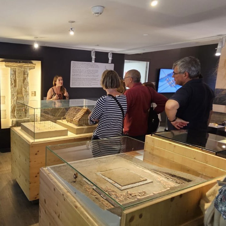 Musée Saint-Raymond tweet media