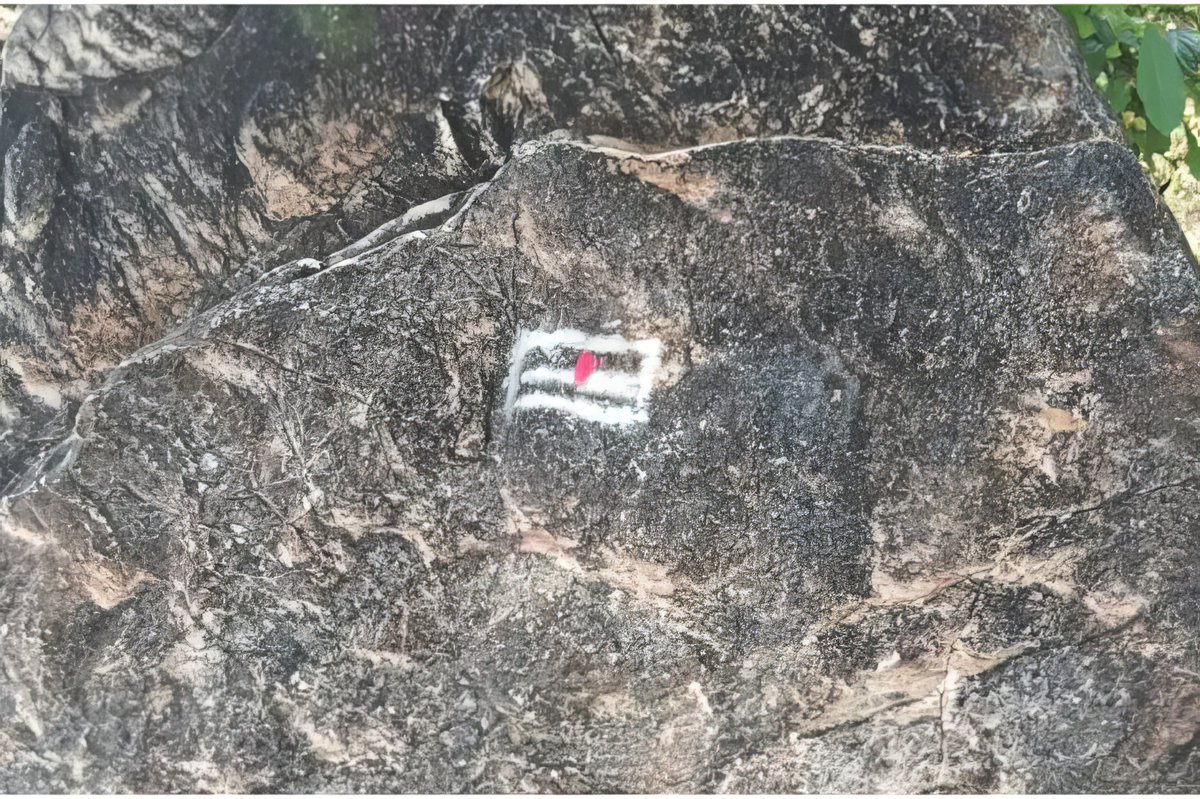 GemsOfINDOLOGY's tweet photo. In Rajasthan's Chittorgarh district, historians have uncovered Stone Age rock paintings, cup marks, and various artifacts, shedding light on ancient human existence. These relics, believed to date back between 35,000 and 200,000 years, paint a vivid picture of our early ancestors' lives.

Among the findings, a 2.4kg mortar and sharp-edged stone suggest that early humans used these tools to process wild barley, nuts, and legumes.

#Archaeology