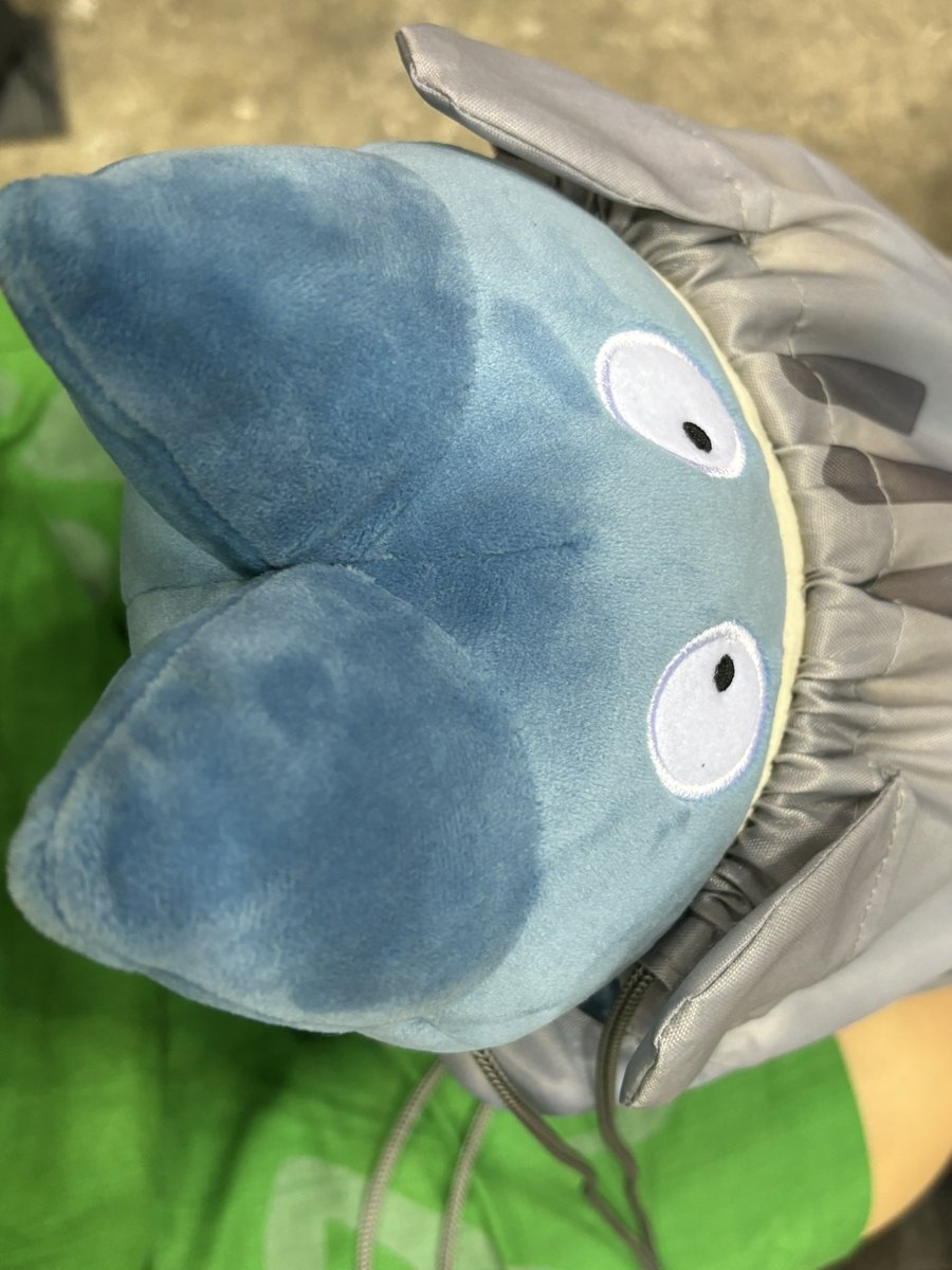 annaimu's tweet photo. あねのおまけで、ポケモンコスしてます〜
無事生きてます〜☺️☺️ https://t.co/85qL4VP9P0