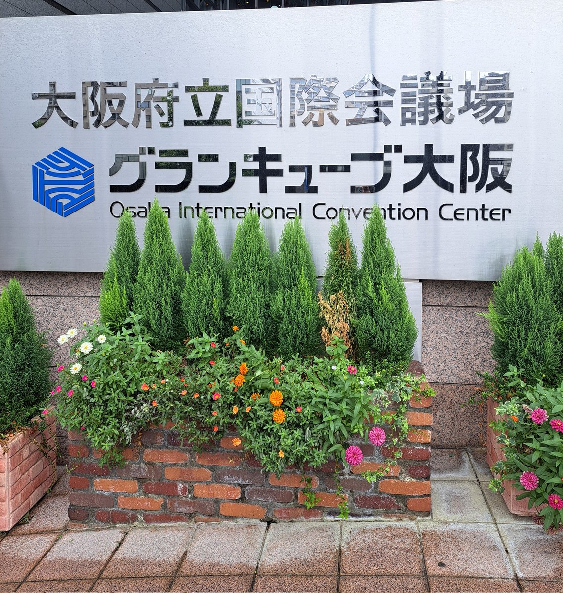 star_argu8971's tweet photo. 大阪めっちゃ雨ー☔
昼過ぎからは曇りっぽいけど、
かなり濡れた💦
晴れてくれー

ということで、グランキューブ大阪
に着きました✌️😁

今日も楽しんで行きます✌️
#WATWING 
#Windy 
#GETMEBACK 
#グランキューブ大阪 https://t.co/lshpOxnoLA