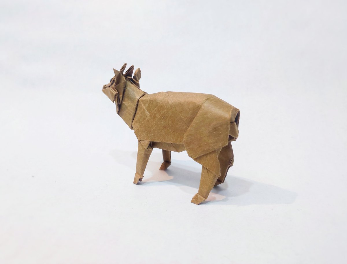 日本鬣羚 Japanese Serow
Designed by <a href="/folders_wotd/">神谷哲史_折紙創作家</a>
Folded by me 
35cm里紙

明明完成的不錯，但一直不知道為什麼沒發的舊作，終於讓他見天日。