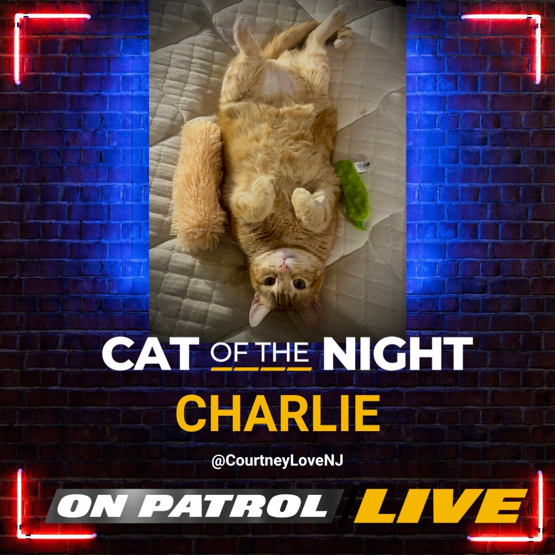 ReelzChannel's tweet photo. Tonight's #OPLive #CatoftheNight is CHARLIE! Congratulations, @CourtneyLoveNJ.

#OPNation #REELZ #OnPatrolLive https://t.co/jB4W4cU7Db