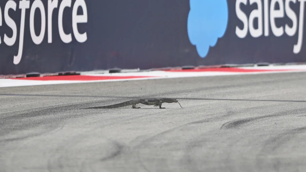Excited for F1 from Singapore here soon, hopefully not to many tire-eating dragons on the course when the race starts 😆 cnn.com/2024/09/21/spo…