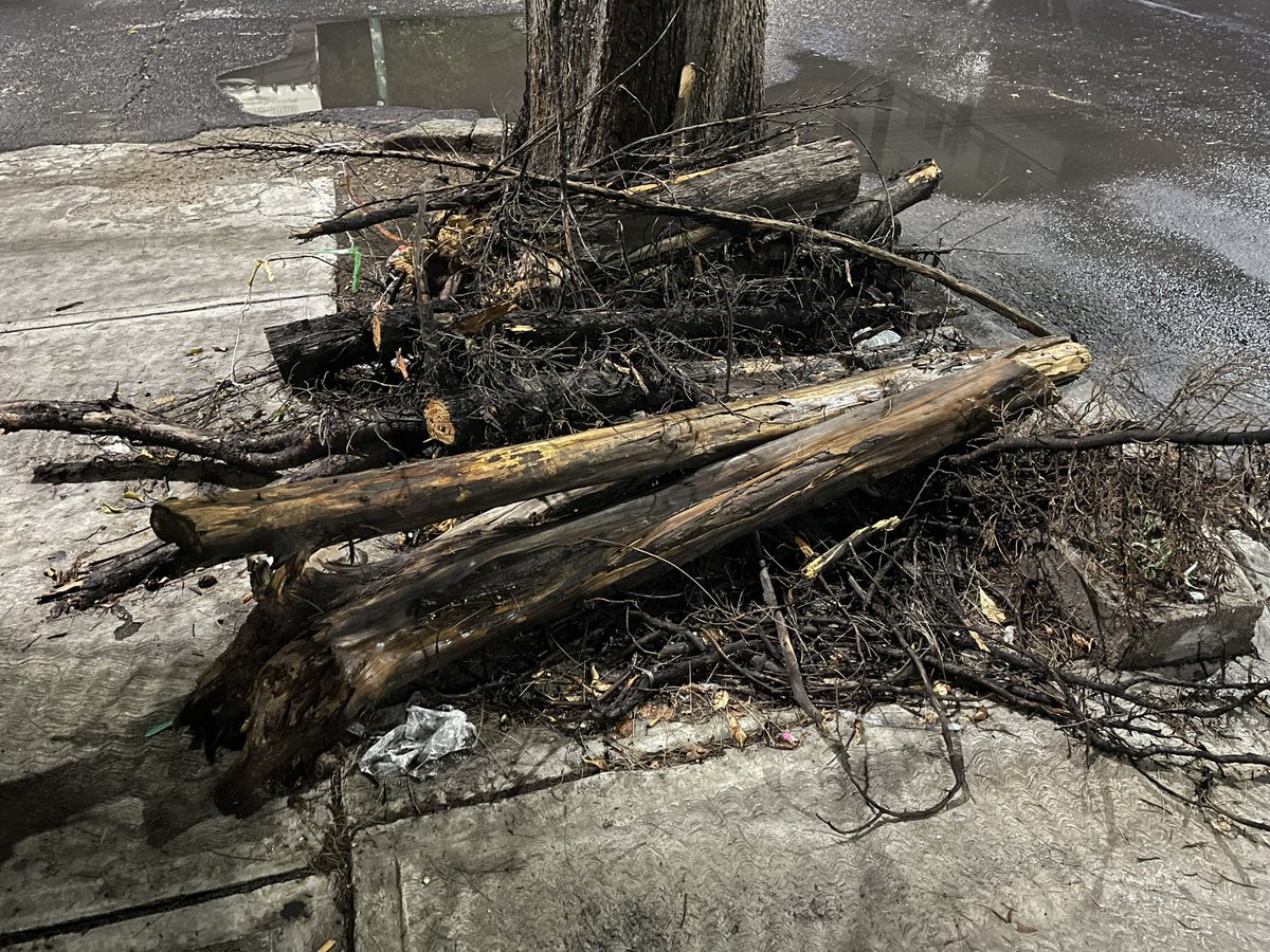 Jose_California's tweet photo. @Bomberos_CDMX @IztacalcoAl @CNPC_MX @UCS_GCDMX @SSC_CDMX @Foro_TV Buen día, hace 15 días nos apoyaron con el retiro del árbol y lo seccionaron pero hasta el día de hoy Parques y Jardines no ha realizado el retiro. Cómo pueden apoyarnos? Saludos https://t.co/iePRguM7yU
