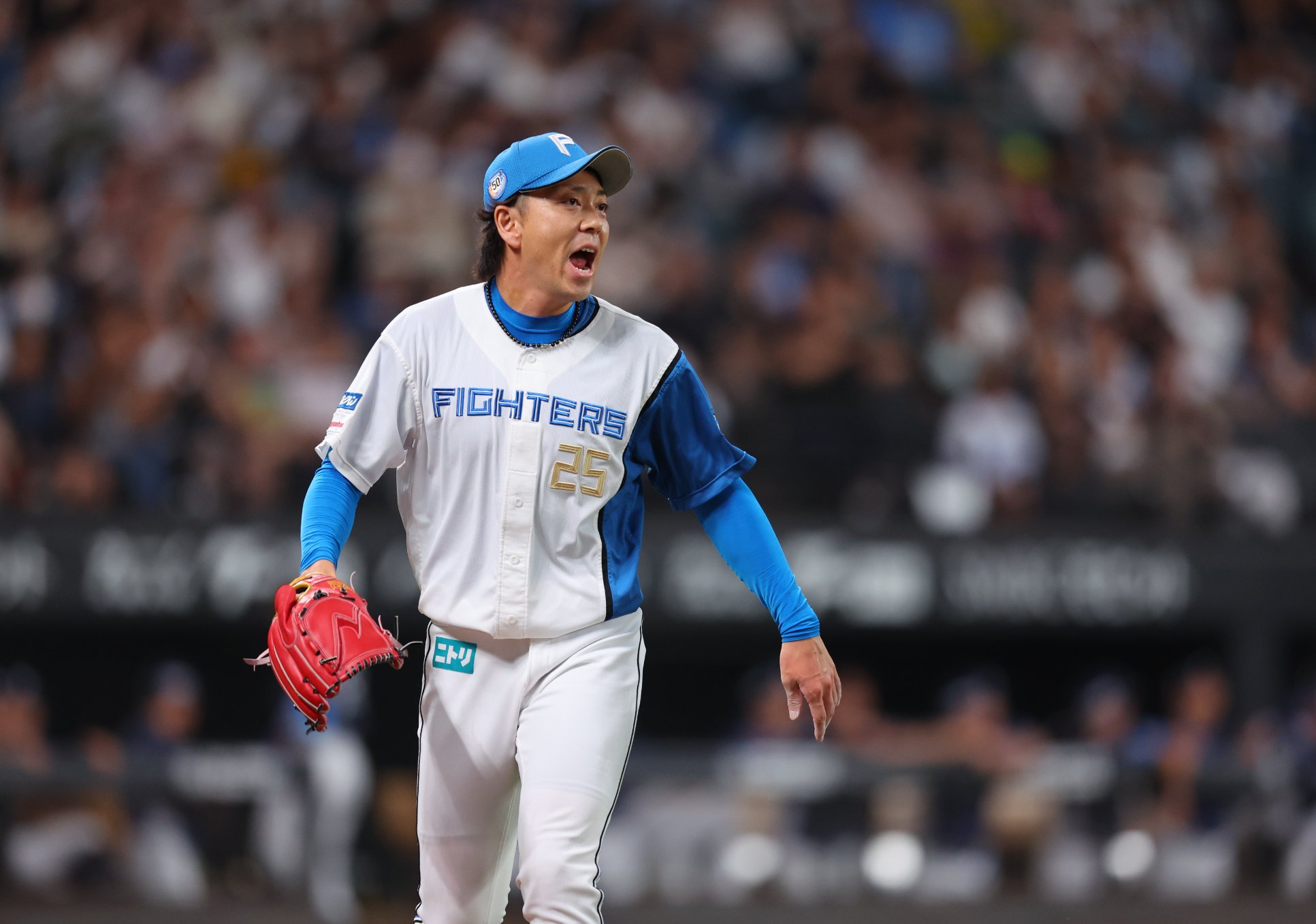 直筆サイン入りプレコレキャップ 宮西尚生 ＃25