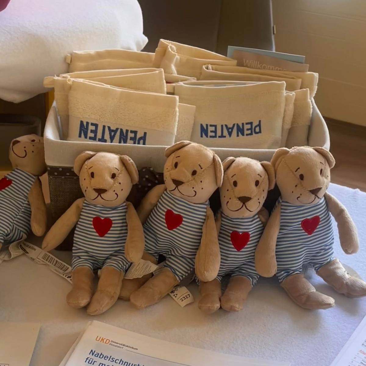 Babymesse - Was bei Babys zu beachten ist dlvr.it/TDX98b