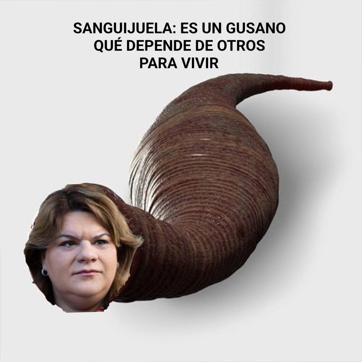 Datos  que deben saber