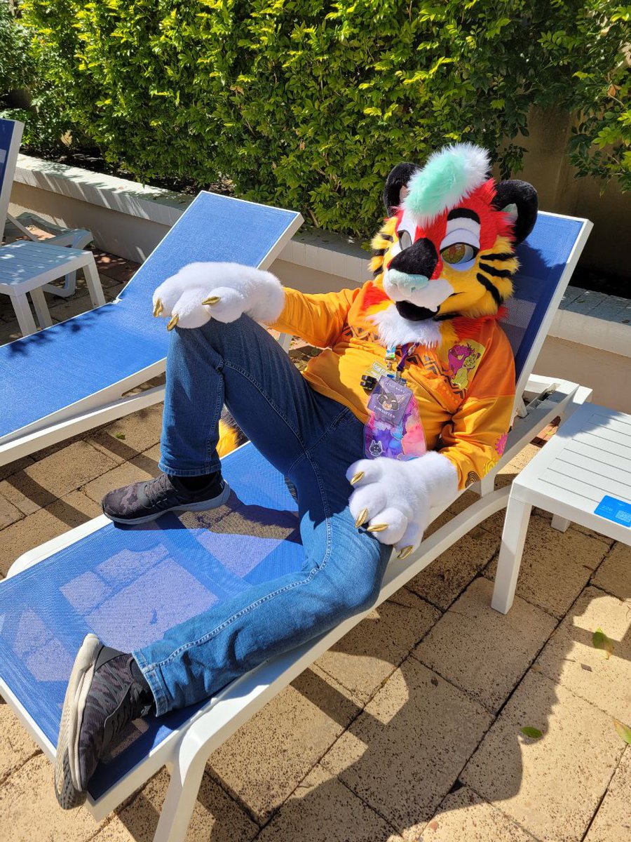Day 3 at WAFF24 getting some photos of blaze Relaxing around the Swimming pool.