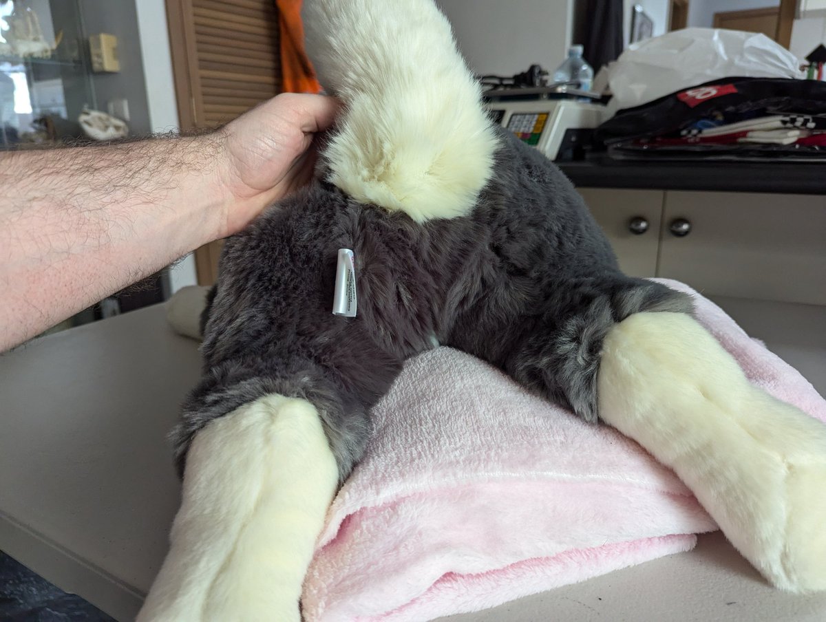 Modder Yeen tweet media