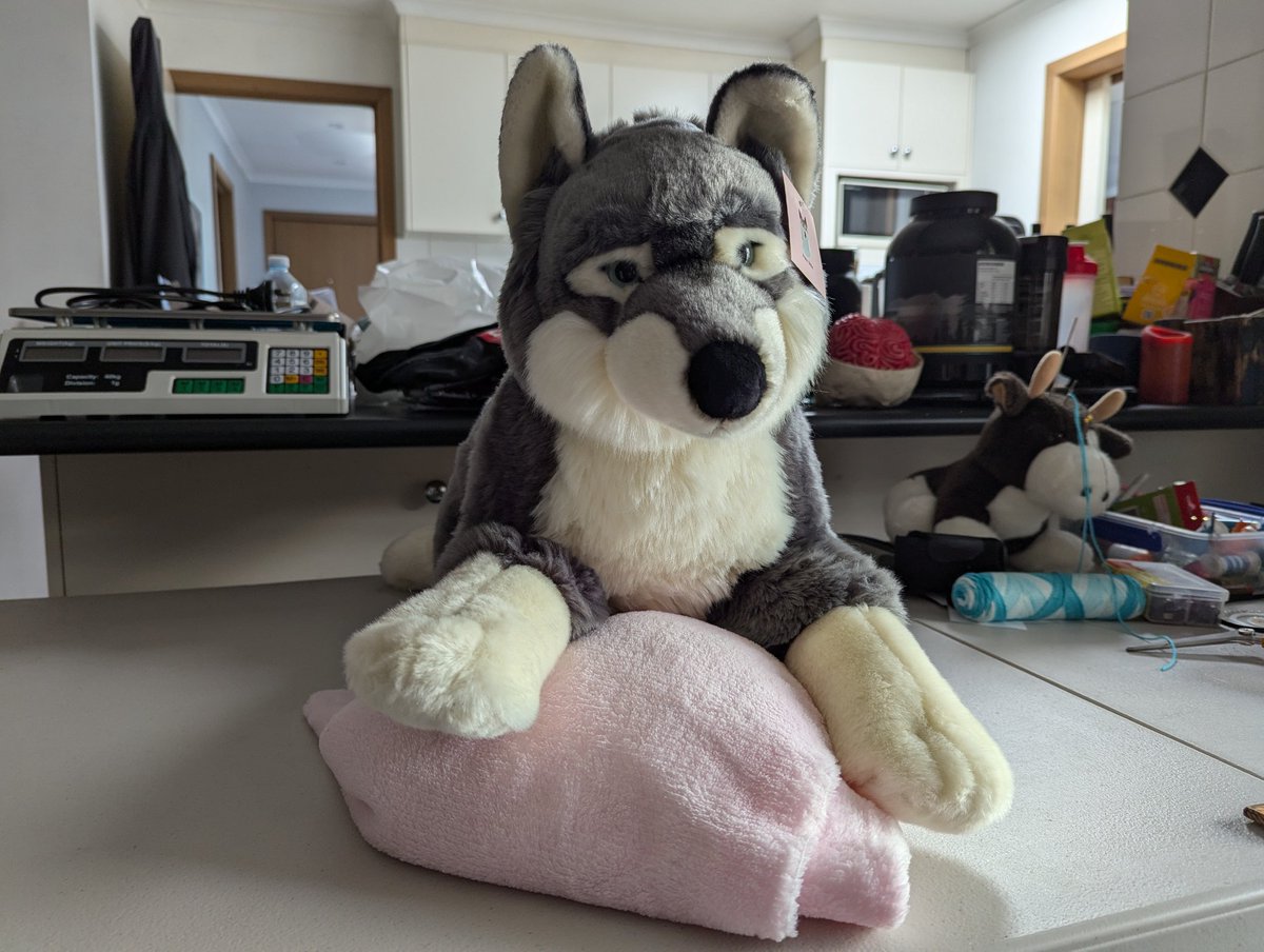 Modder Yeen tweet media