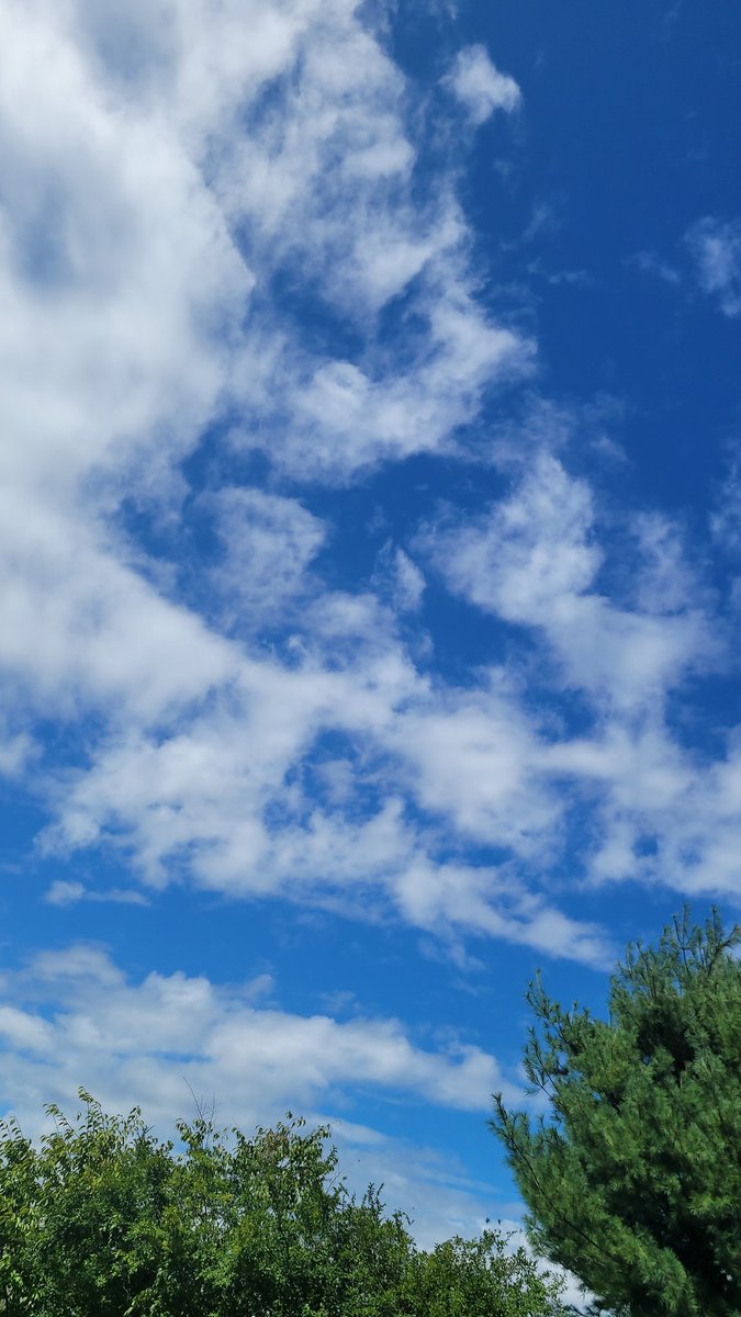 비온뒤끝이라 날씨가....
하늘이.....
거기에 수놓듯 놓여있는 구름들
가을정취가 물씬이네
#가을은여행
#가을은단풍
#가을은낙엽
#가을은남자
#남자는고독
가을과 겨울.....
웬지 파란하늘을 보며 눈시울을 붉히는 이유를 이제 아는 나이