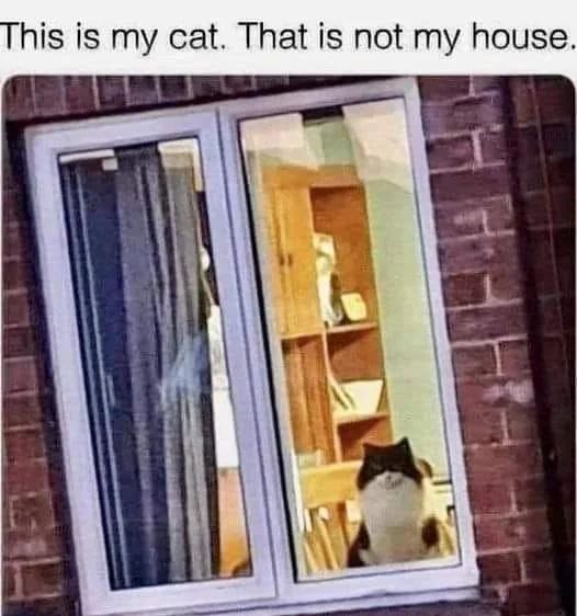 WholesomeMeme's tweet photo. https://t.co/oZWwZkX5ZK