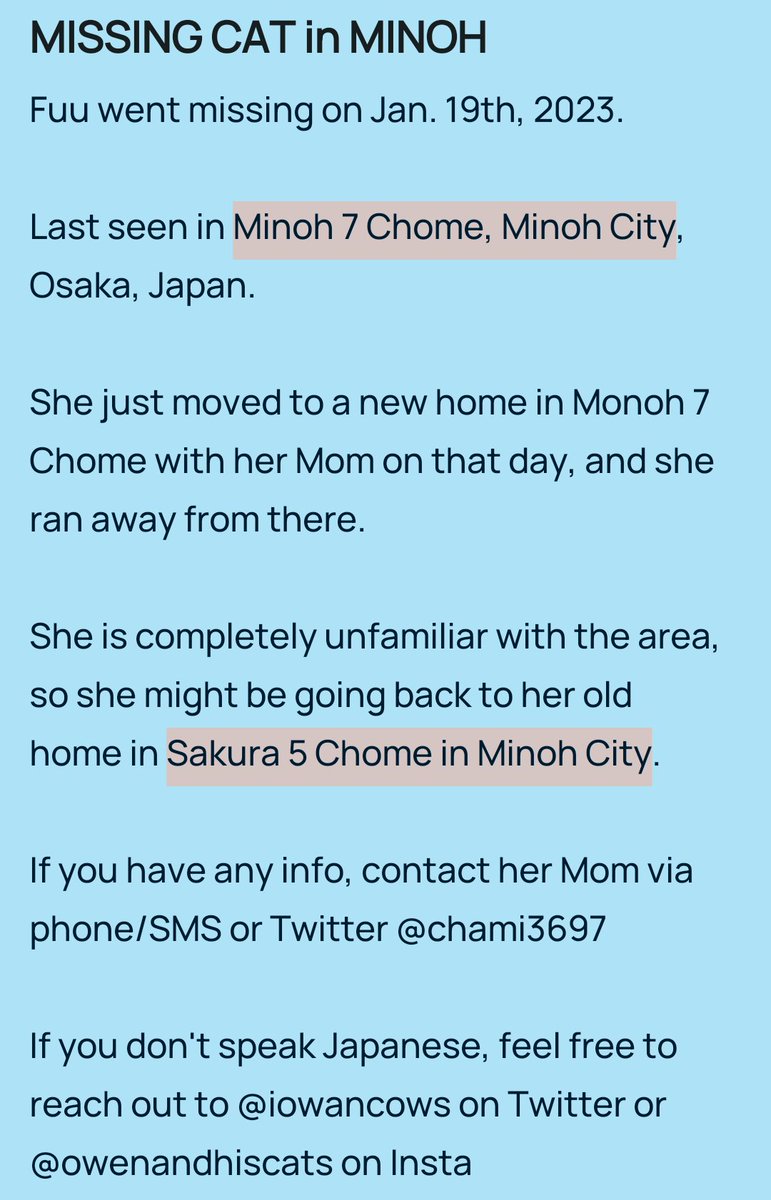 🐱🐊💐うずかわ藍苑(あいおん) #TheAlphabetGang🏳️‍⚧️🏳️‍🌈 tweet media