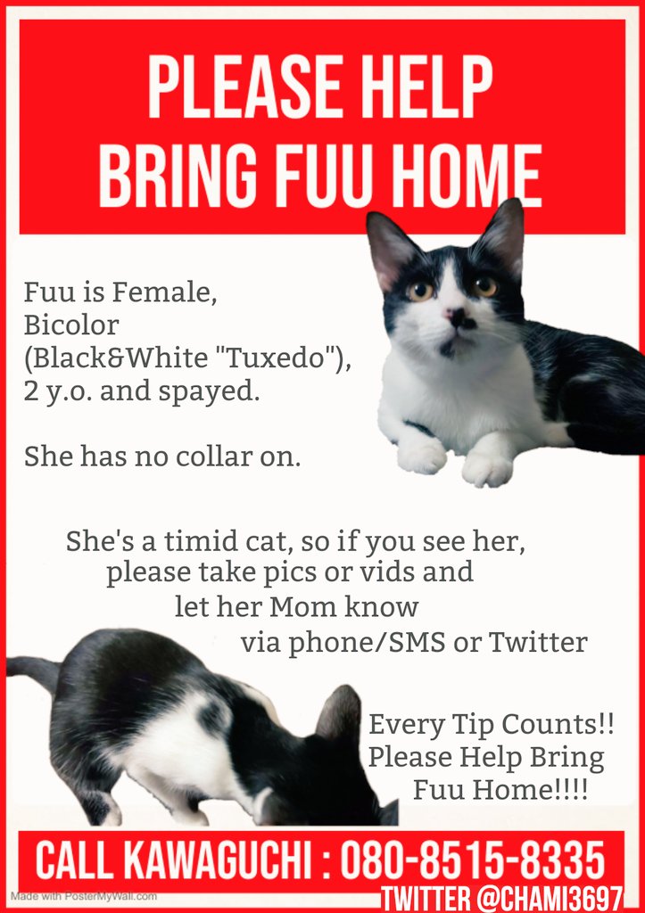 🐱🐊💐うずかわ藍苑(あいおん) #TheAlphabetGang🏳️‍⚧️🏳️‍🌈 tweet media