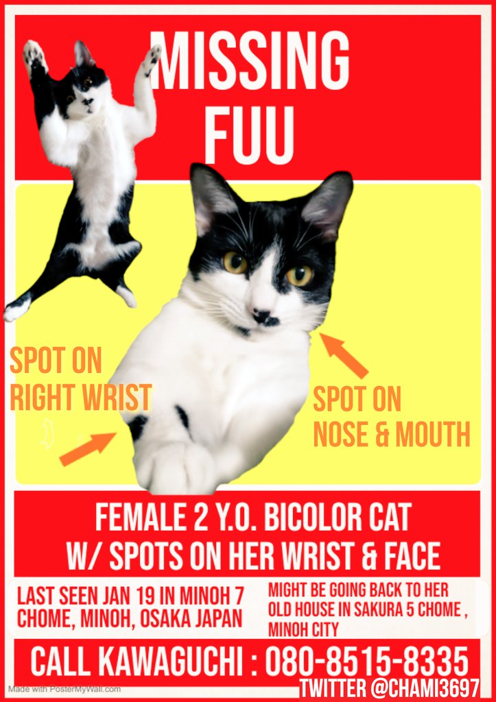 🐱🐊💐うずかわ藍苑(あいおん) #TheAlphabetGang🏳️‍⚧️🏳️‍🌈 tweet media