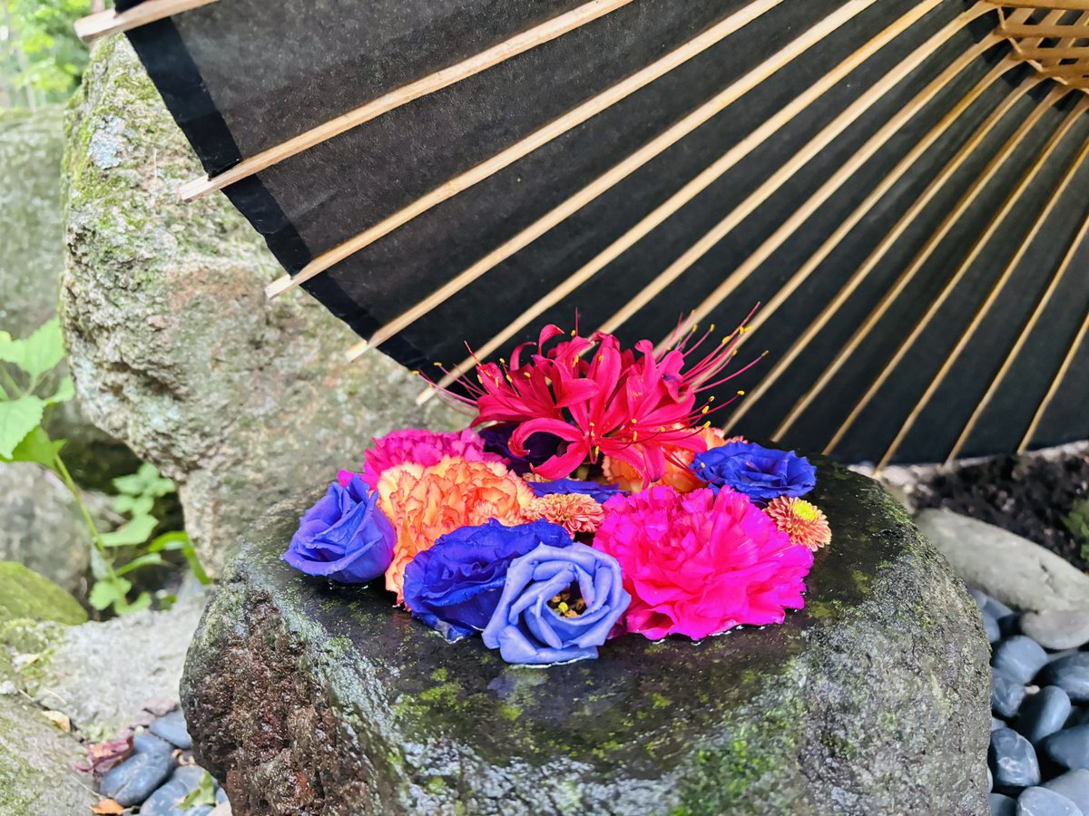 skrtjn's tweet photo. 帯廣神社花手水。期間限定の宇宙。 #帯廣神社 #帯広神社 #花手水 #花 #帯広 #神社 https://t.co/NYoi5koPii
