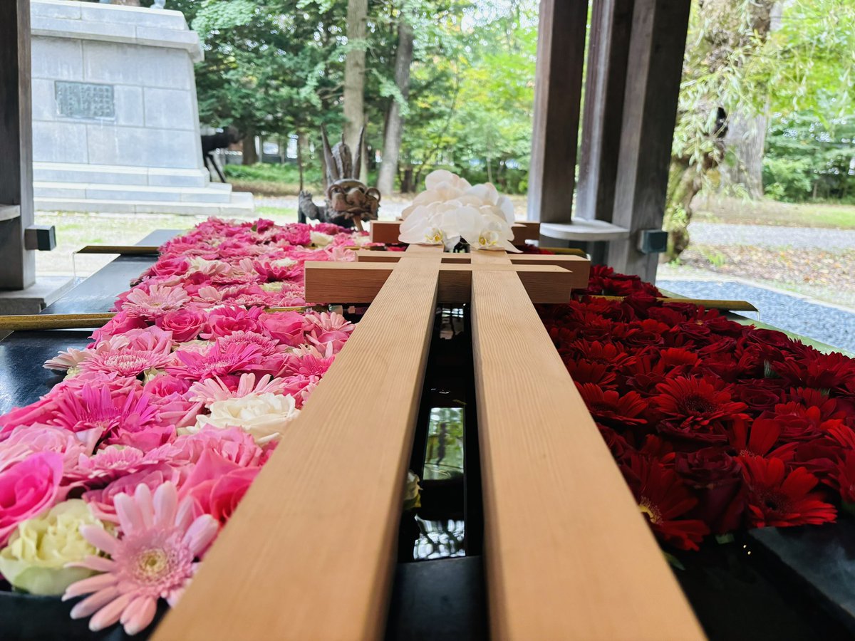 skrtjn's tweet photo. 帯廣神社花手水。期間限定の宇宙。 #帯廣神社 #帯広神社 #花手水 #花 #帯広 #神社 https://t.co/NYoi5koPii