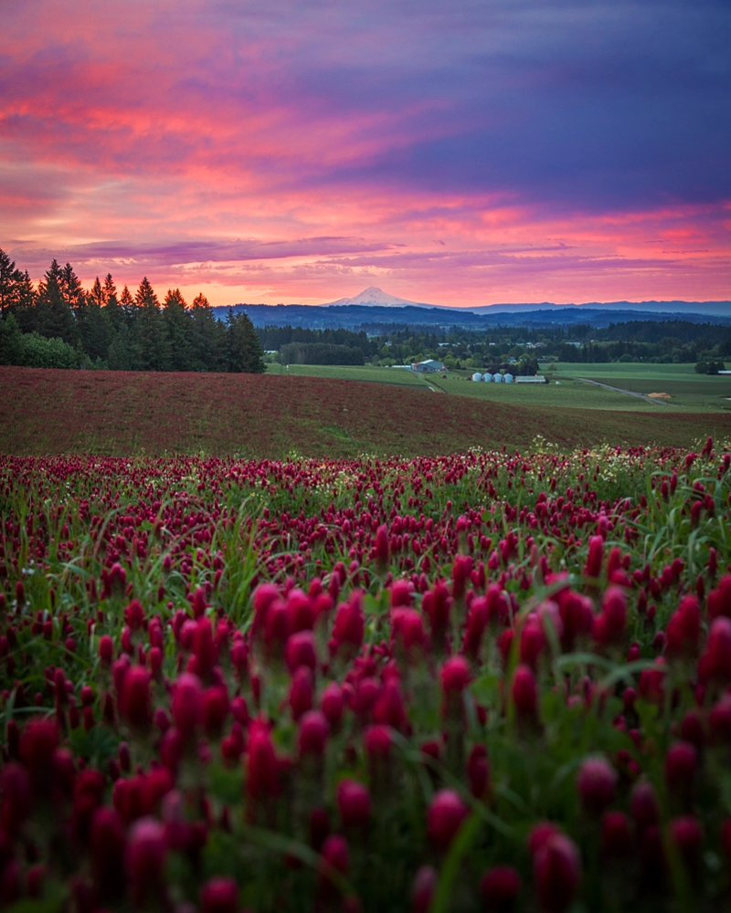 Melissa D. Jones tweet media