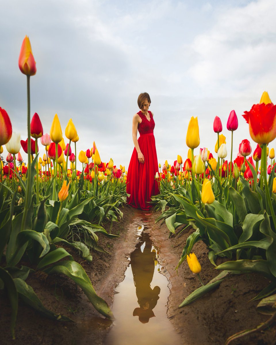 Melissa D. Jones tweet media