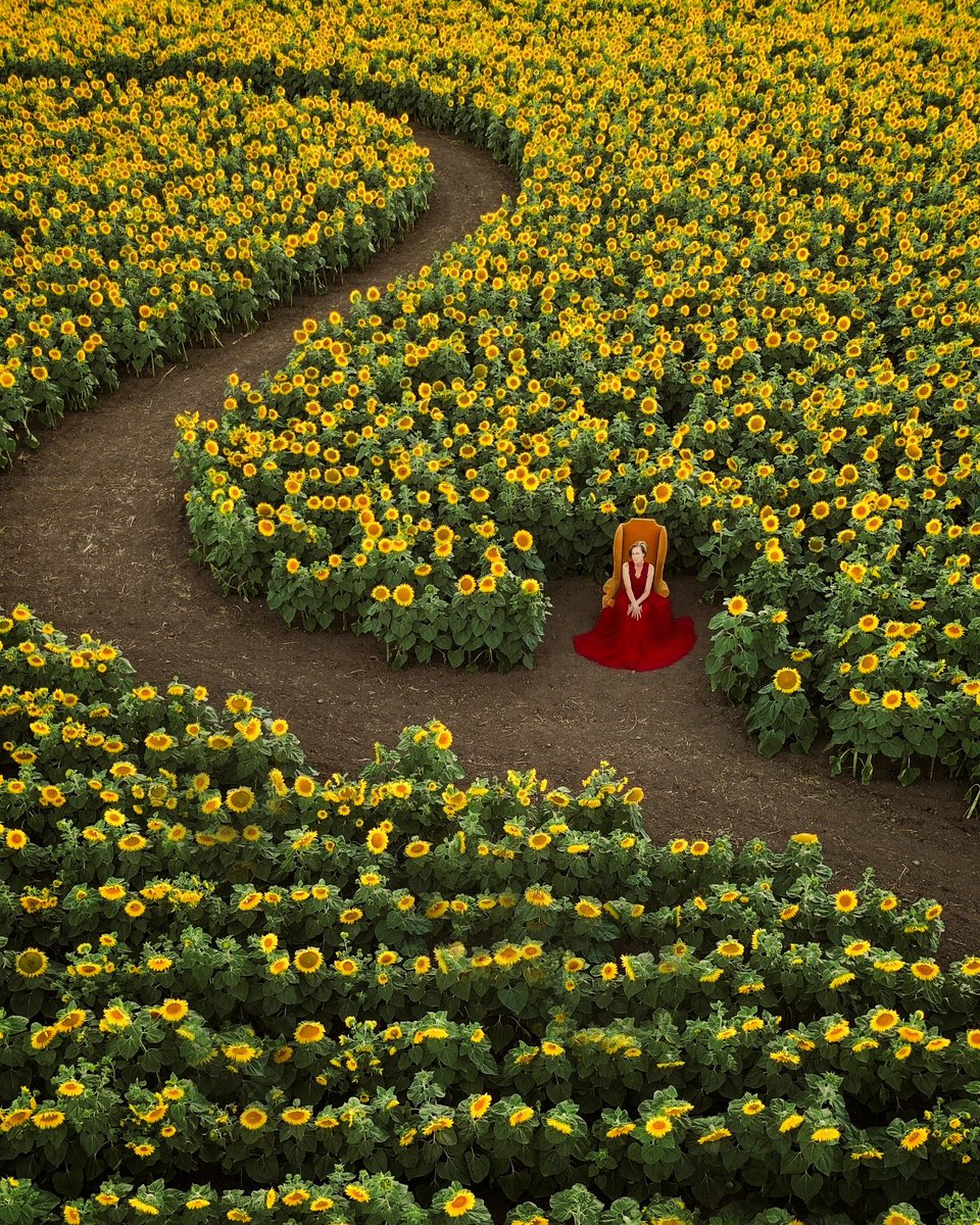 Melissa D. Jones tweet media