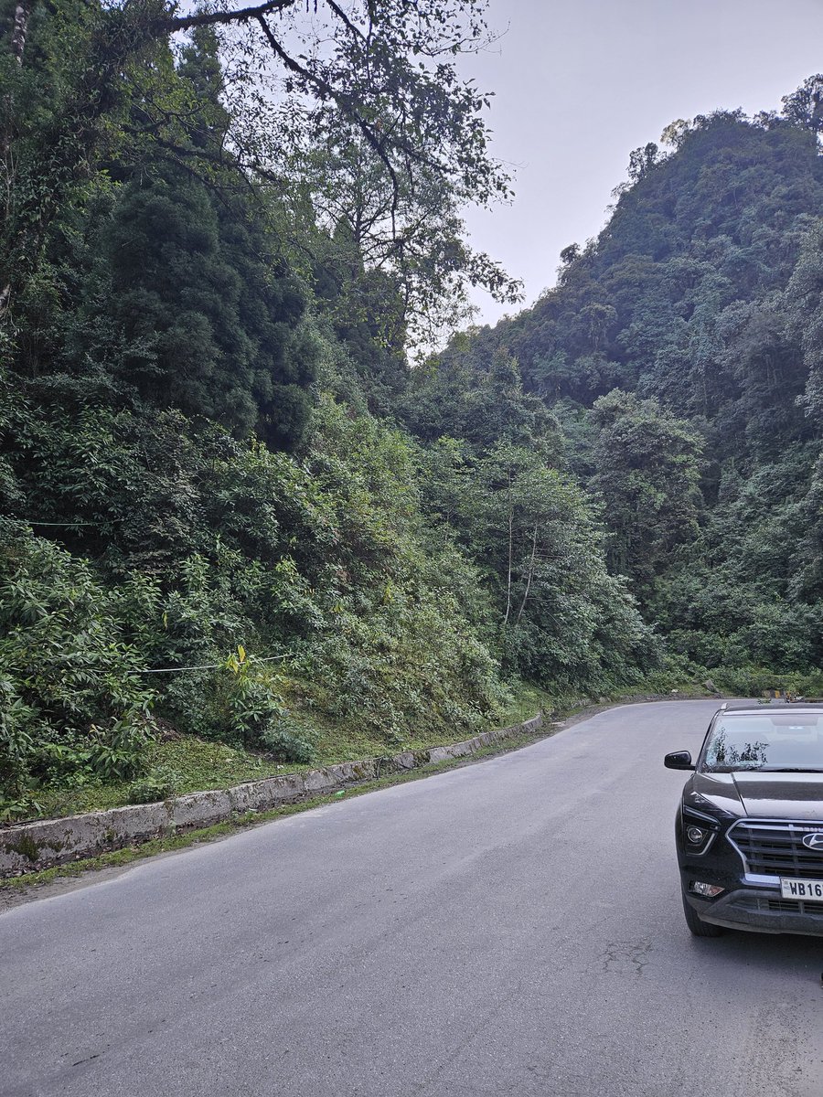 SamirHalderWORK's tweet photo. Lonely Road #samirhalder https://t.co/aoqMVJKFH3