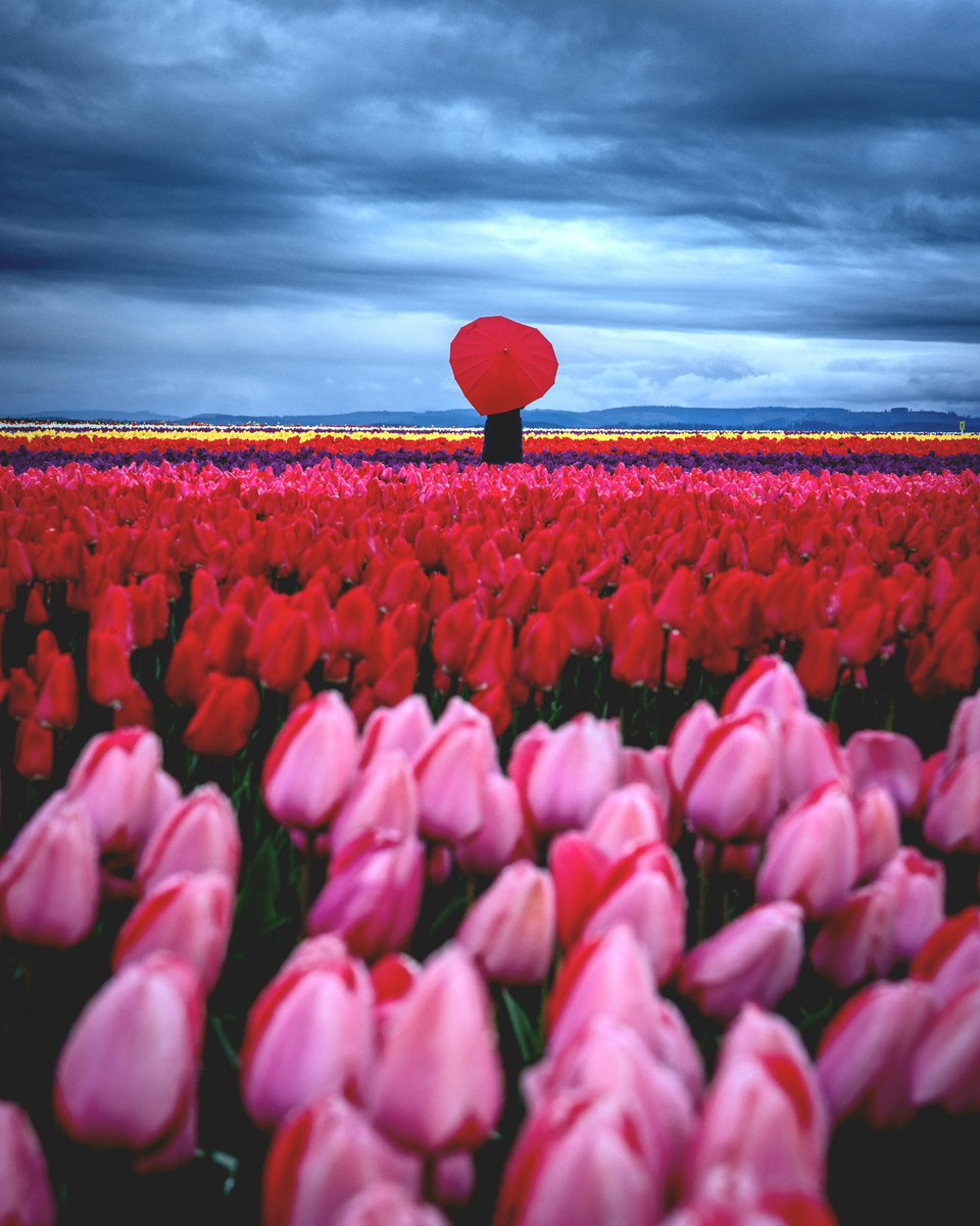 Melissa D. Jones tweet media