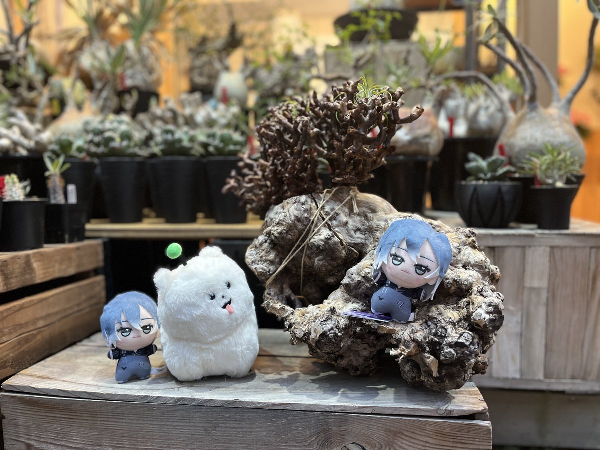 おそらく凪のお店モデルのクリーニング＆お花屋さん💐 店長さんと