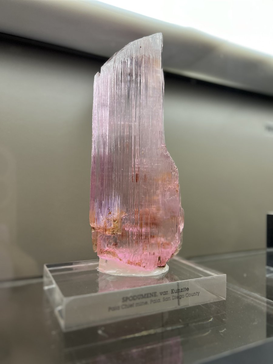 StevenRayMorris's tweet photo. Making a real #DinoFest post about all the good cheer, fun learning, and great friends old and new today @NHMLA, but while we wait, here’s all the rocks and minerals that looked tasty enough to eat: https://t.co/9RoouIOHLA