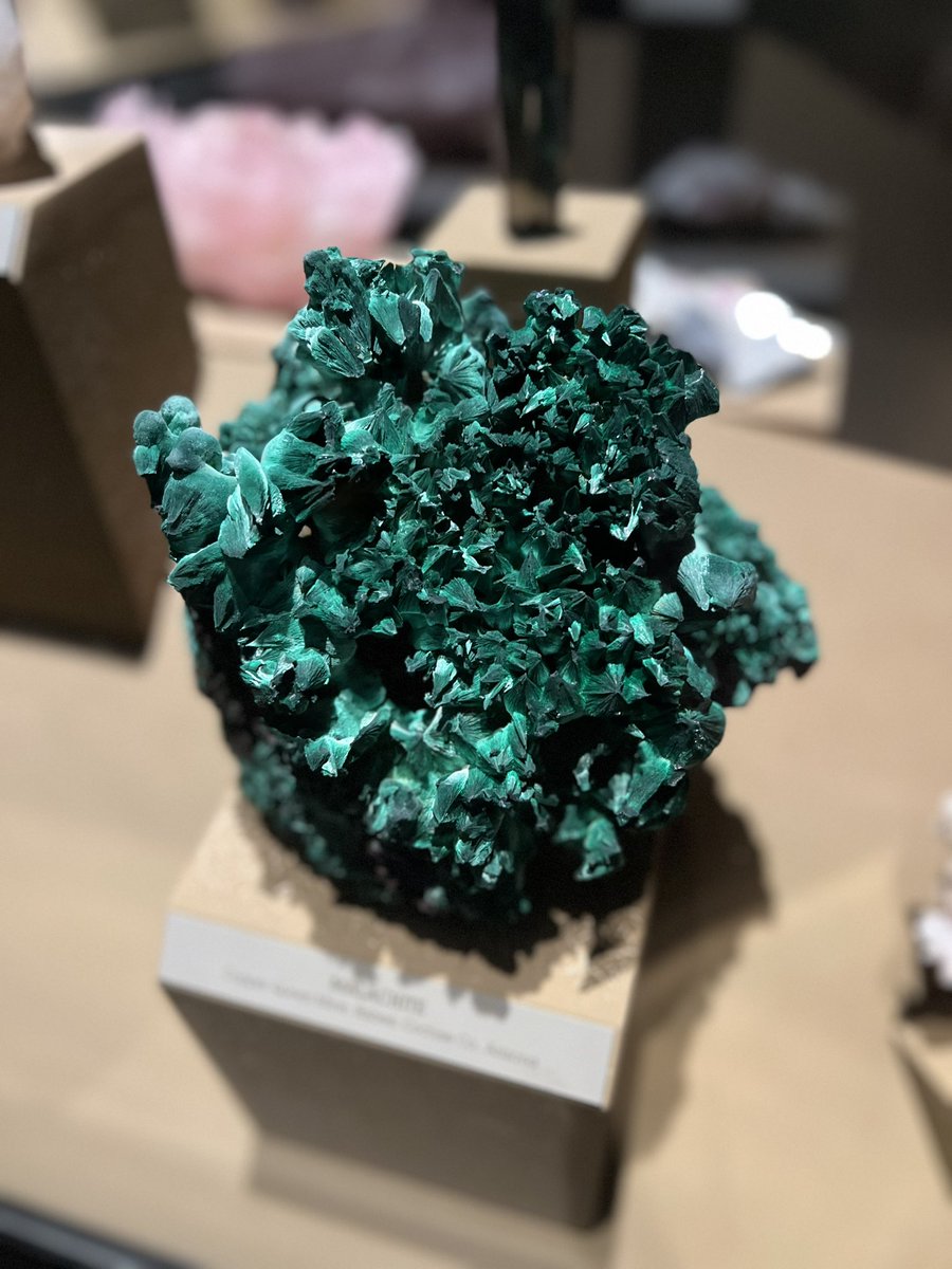StevenRayMorris's tweet photo. Making a real #DinoFest post about all the good cheer, fun learning, and great friends old and new today @NHMLA, but while we wait, here’s all the rocks and minerals that looked tasty enough to eat: https://t.co/9RoouIOHLA