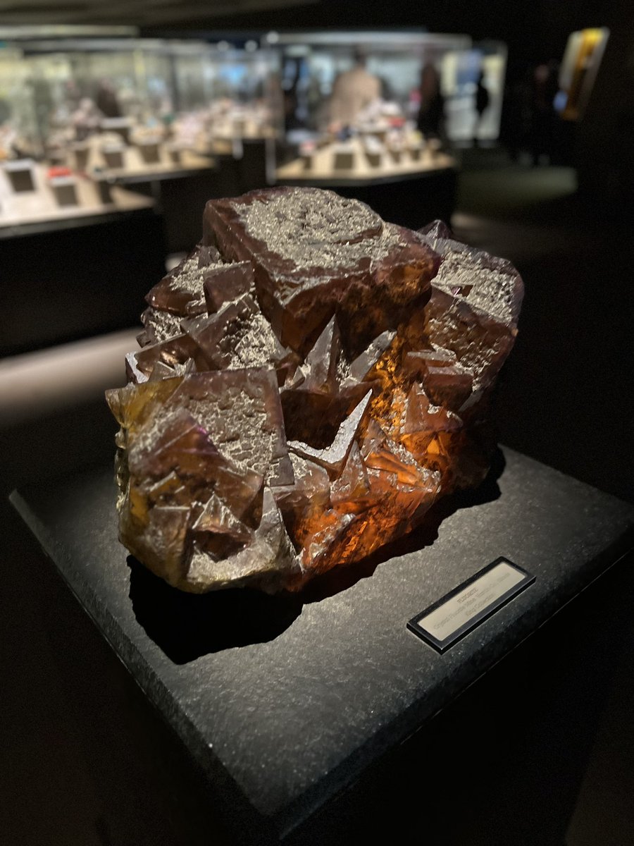 StevenRayMorris's tweet photo. Making a real #DinoFest post about all the good cheer, fun learning, and great friends old and new today @NHMLA, but while we wait, here’s all the rocks and minerals that looked tasty enough to eat: https://t.co/9RoouIOHLA