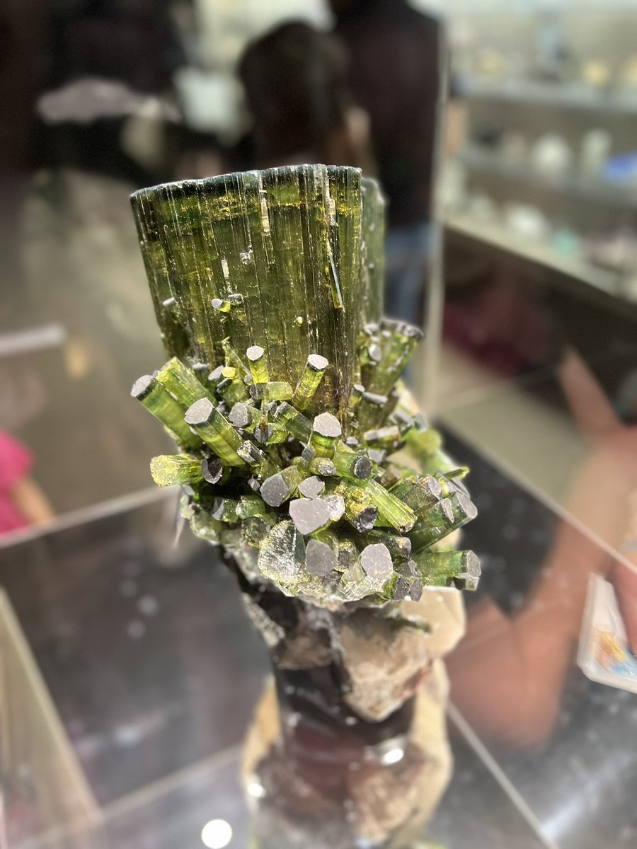 StevenRayMorris's tweet photo. Making a real #DinoFest post about all the good cheer, fun learning, and great friends old and new today @NHMLA, but while we wait, here’s all the rocks and minerals that looked tasty enough to eat: https://t.co/9RoouIOHLA