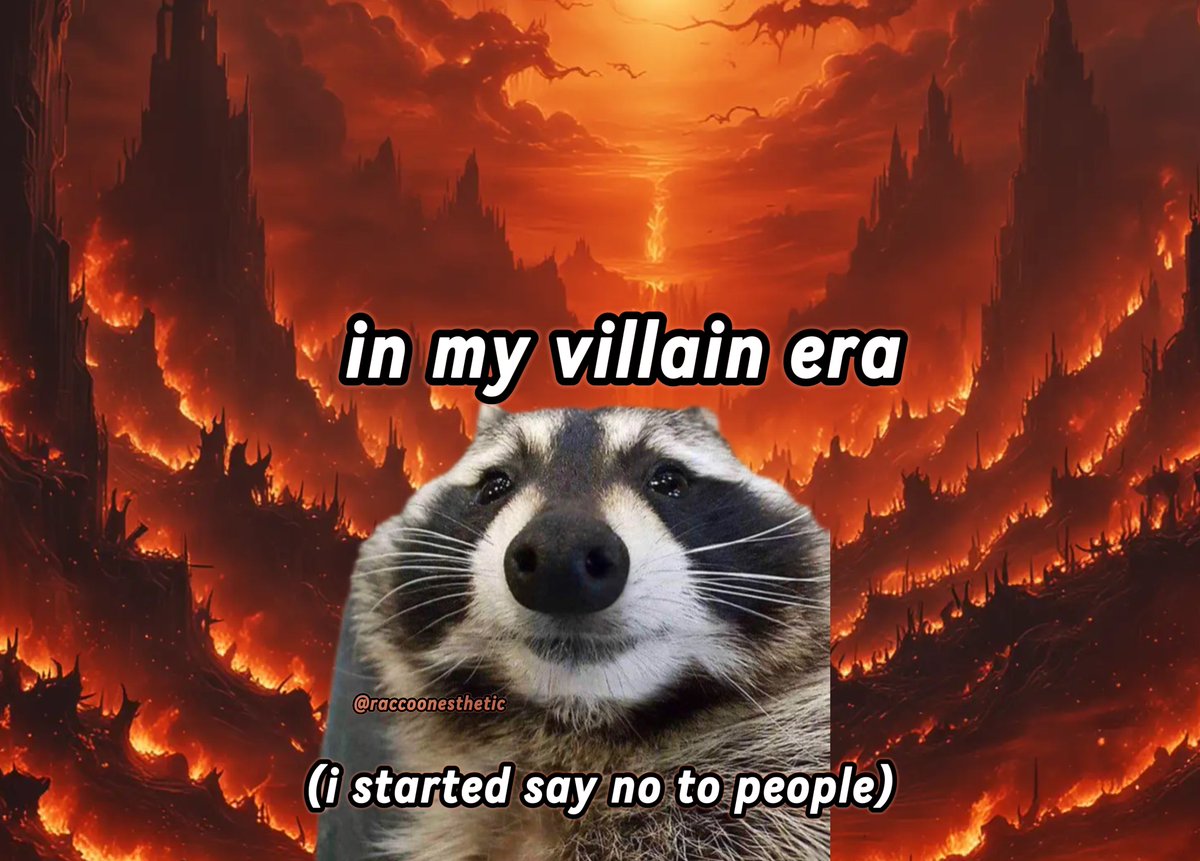 raccoon aesthetic. tweet media