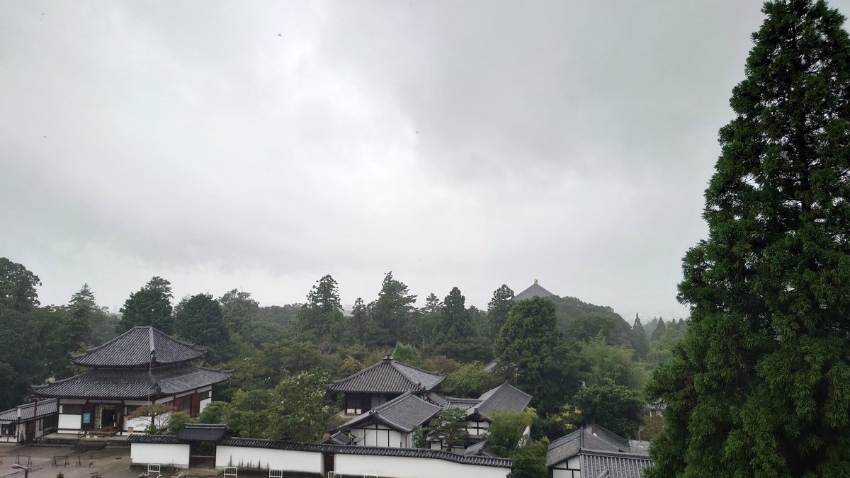 MichelleMichiyo's tweet photo. 二月堂なう。

雨で何も見えない景色だす☔
すごい雨ですね。

これから涼しくなるといいですね✨

 #二月堂
 #奈良
 #雨
 #秋 https://t.co/KLiL3GHKeh
