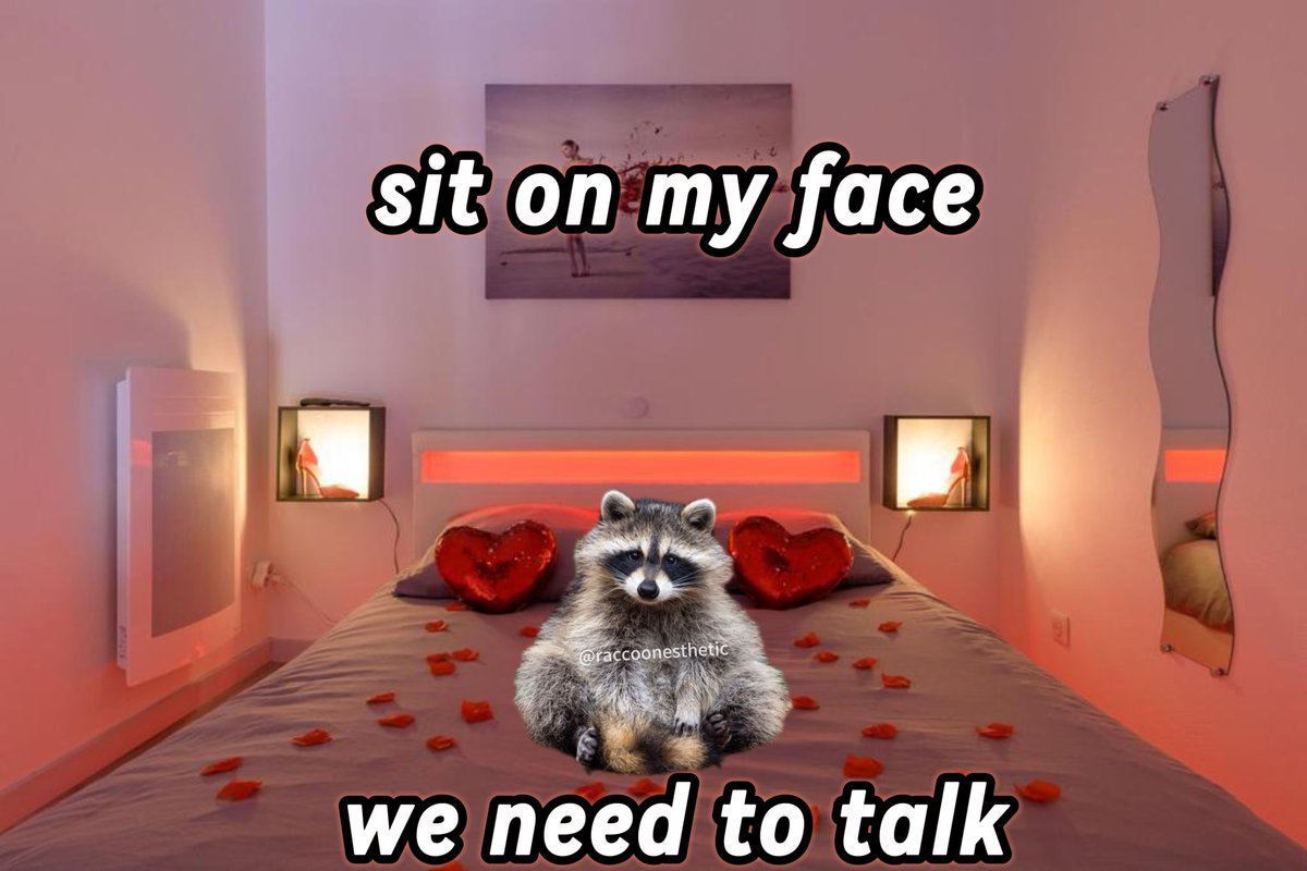 raccoon aesthetic. tweet media