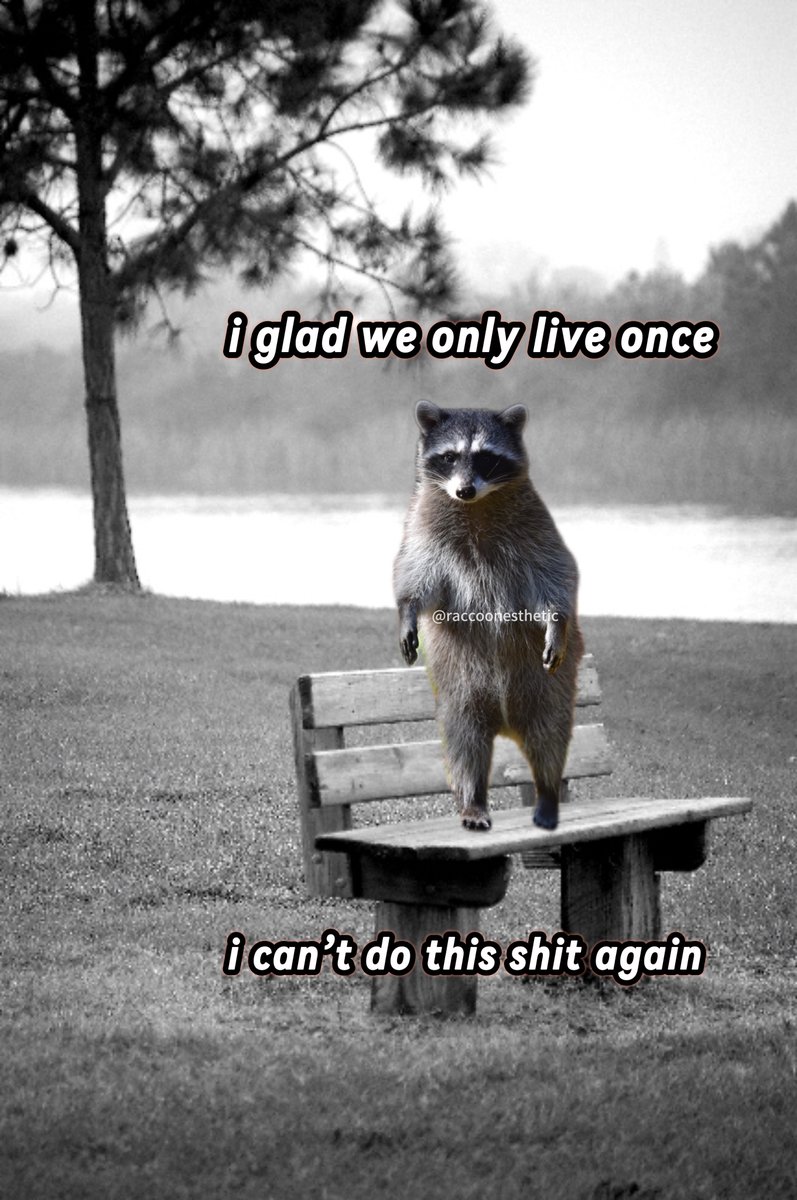 raccoonesthetic's tweet photo. https://t.co/nbkdxDJAwb