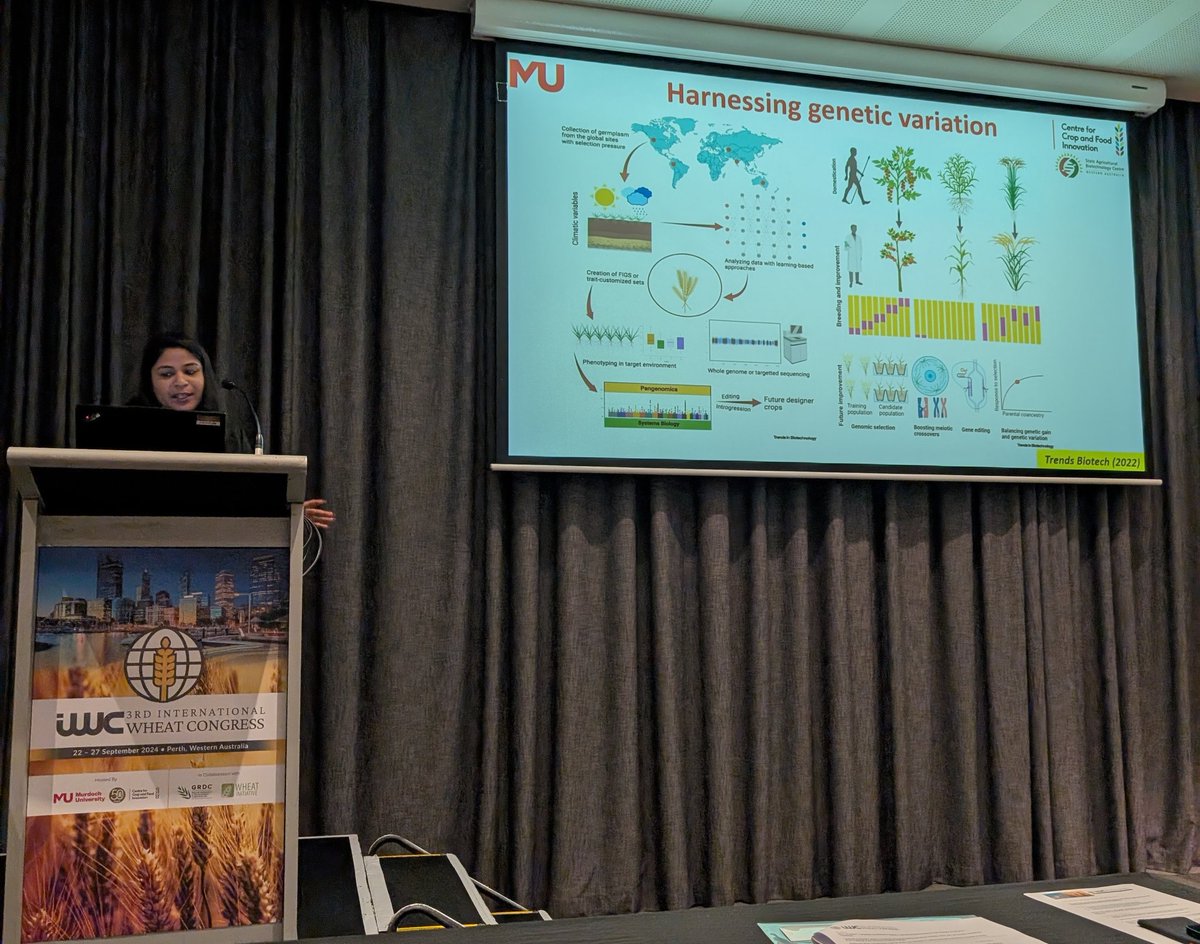 Khushboo_Fulara (@khushboo_fulara) on Twitter photo What an inspiring talk by Dr <a href="/GargVanika/">Vanika Garg</a> who talked about the development of Australian Wheat pangenome at the International Wheat Congress 2024. Her inspiring talk focused on the Australian Wheat scenario and importance of pangenome for crop improvement.
#IWC2024 <a href="/MUniResearch/">Murdoch University Research</a> What an inspiring talk by Dr <a href="/GargVanika/">Vanika Garg</a> who talked about the development of Australian Wheat pangenome at the International Wheat Congress 2024. Her inspiring talk focused on the Australian Wheat scenario and importance of pangenome for crop improvement.
#IWC2024 <a href="/MUniResearch/">Murdoch University Research</a>