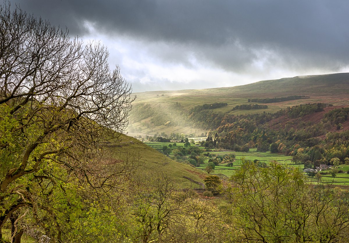 Today is the #AutumnEquinox which marks the start of the astronomical autumn 🍂

We compiled some of our favourite pictures for you to celebrate this wonderful time of year in the #Dales 🧡

#Autumn in the #YorkshireDales #NationalPark👇

yorkshiredales.org.uk/be-inspired/wh…