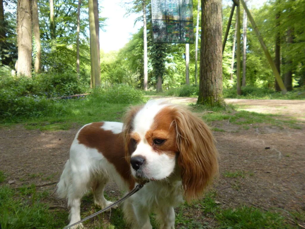 RJonTourUK tweet media