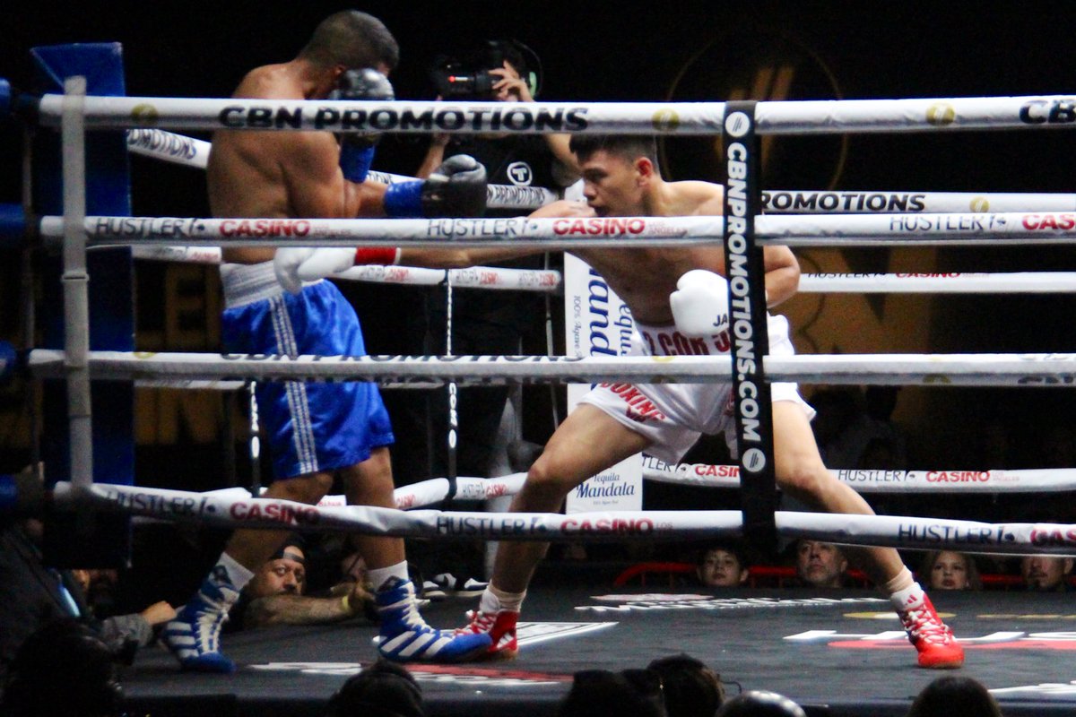 Steve Angeles tweet media