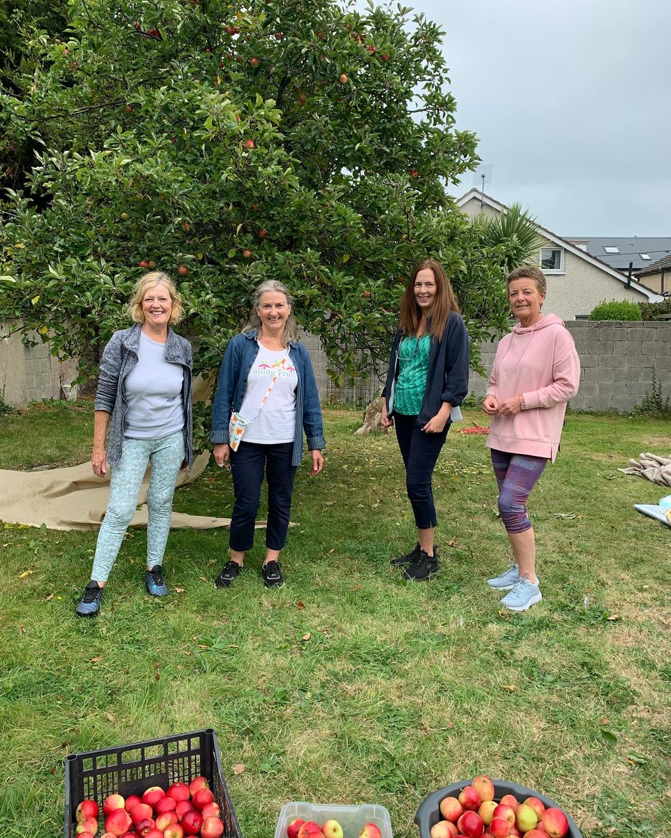 fallingfruit_ie's tweet photo. 🍎Friday in Greystones yielded about 90 kilos of delicious apples. Our kind donor, formerly a FF volunteer, helped pick and delivered apples to a hospice. Thanks to our harvesting team - Anne, Deirdre, Geraldine - for great work and great fun. Huge thanks to all involved 🍎💚🍎 https://t.co/l4fZve4Gtv