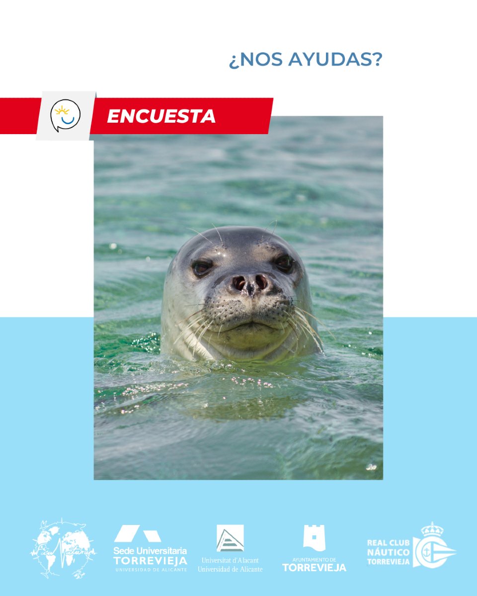 🌊 ¡Tu opinión cuenta para proteger nuestras costas! 🦭
📝 Haz clic aquí para participar: iuii.qualtrics.com/jfe/form/SV_el…
<a href="/proyectomastral/">Proyecto Mastral</a>
<a href="/torreviejaayto/">Ayuntamiento de Torrevieja</a>
<a href="/torreviejaturis/">TurismodeTorrevieja</a>
<a href="/torreviejaua/">TorreviejaUA</a>