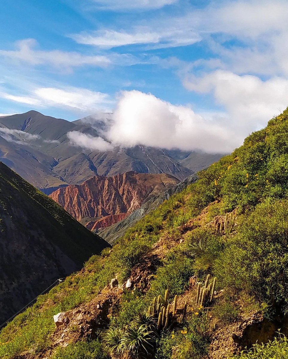 Visit Salta tweet media