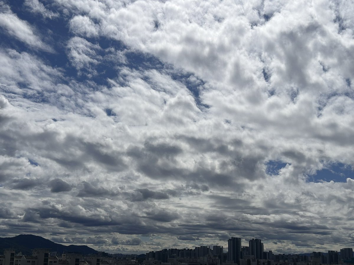 dongnlee's tweet photo. 잠시 스쳐만가는 계절이 되어 버린! https://t.co/OilOs29Kz0
