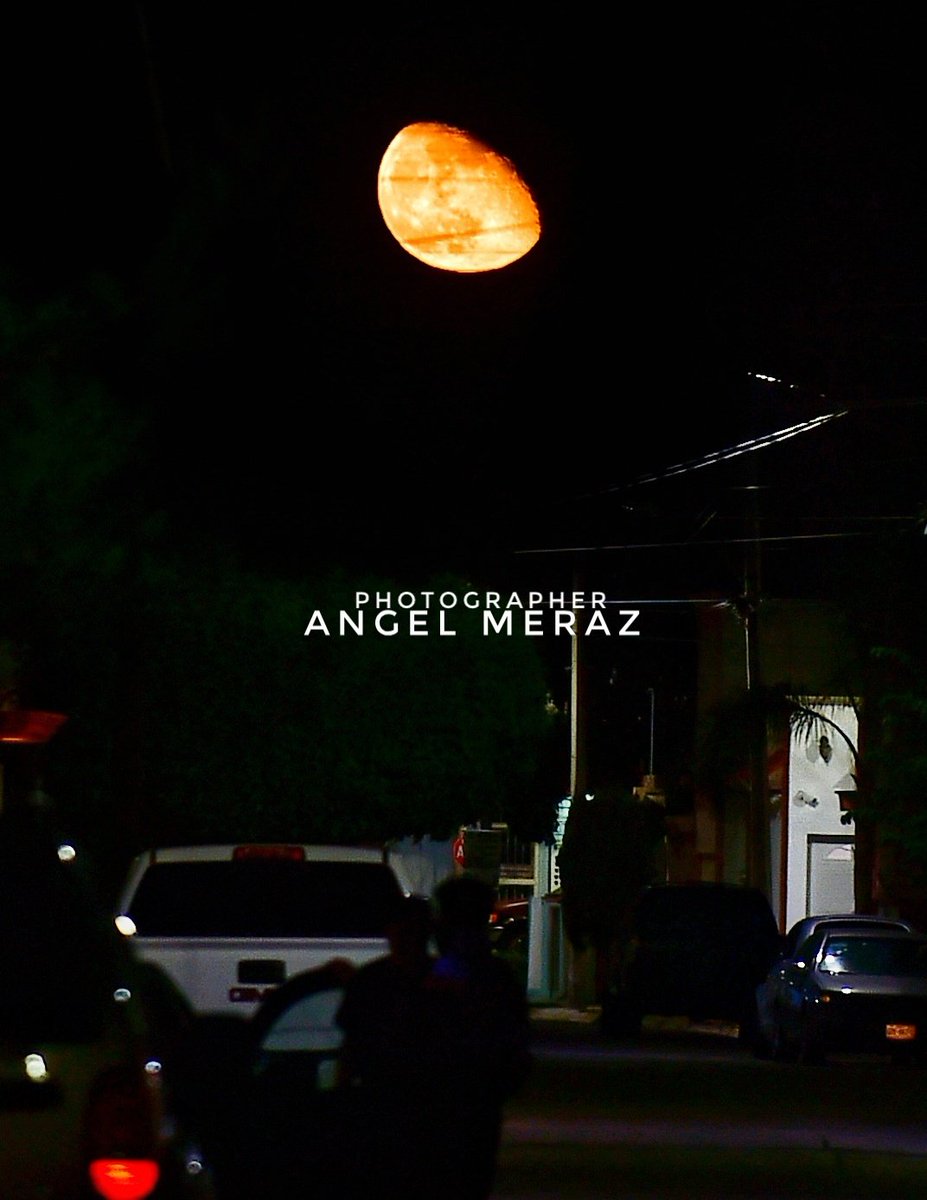 Alesandro del Piero tweet media