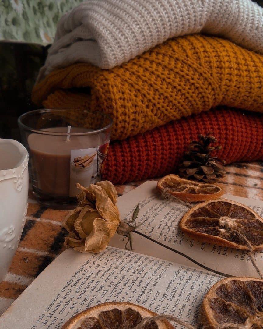 ๐๐๐๐๐๐๐ ๐๐๐๐๐๐ tweet media