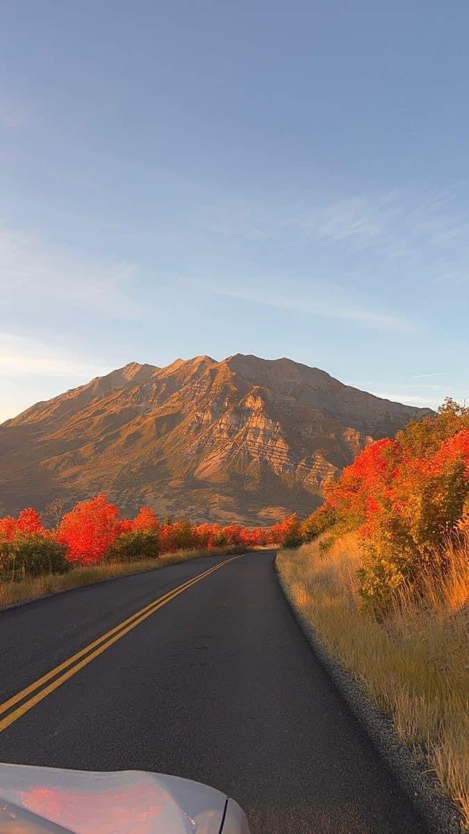 ๐๐๐๐๐๐๐ ๐๐๐๐๐๐ tweet media