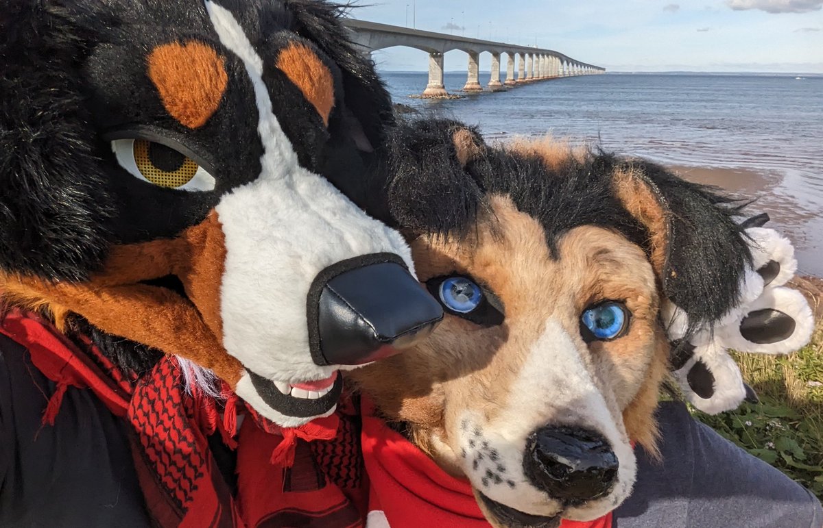 Me and <a href="/KelloggCollie/">The dog with two G's</a> before and after that looooooong PEI bridge. We made it !
