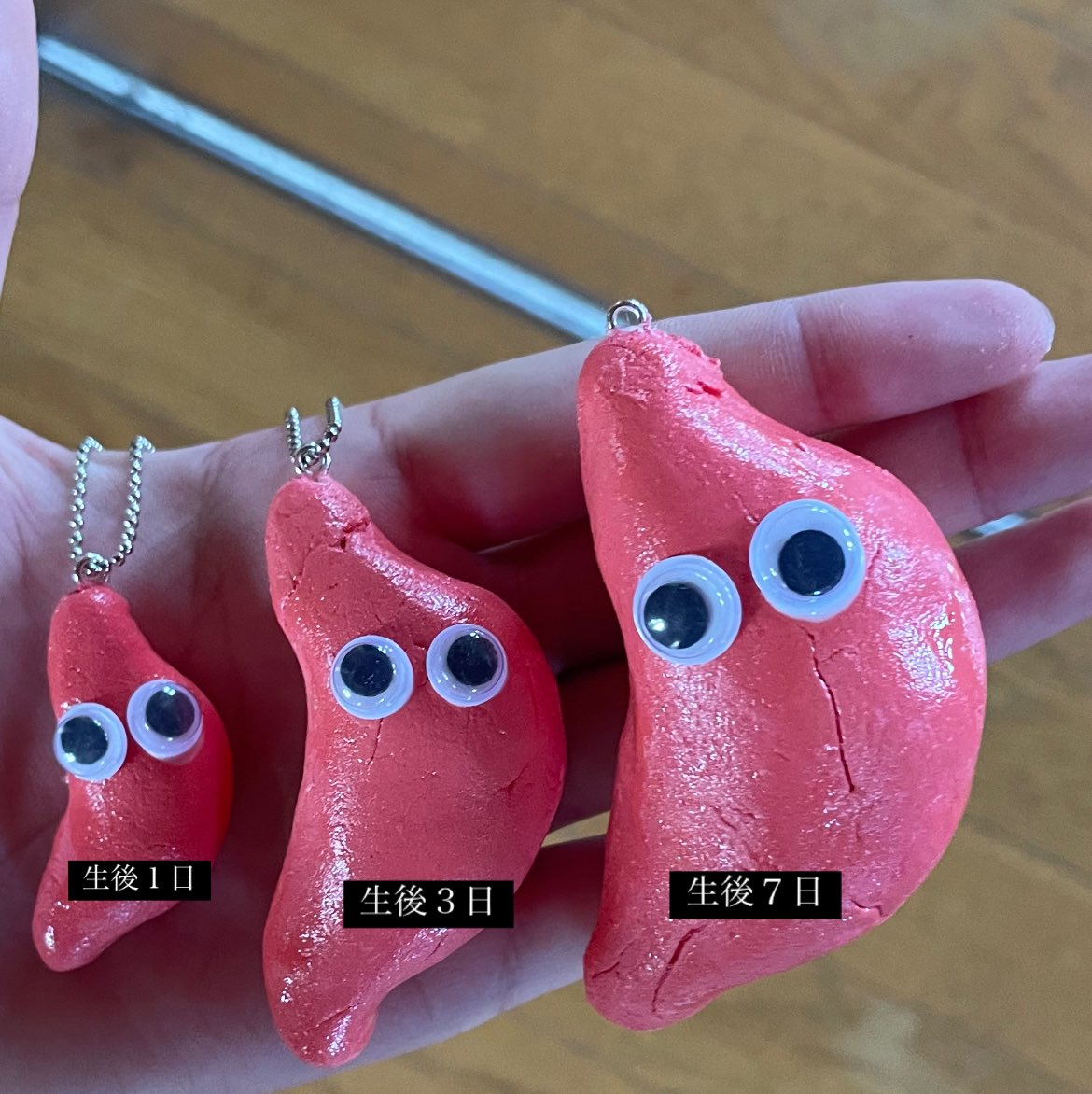 payitforward_mw's tweet image. 新生児の胃の大きさモデル作った✨
「おっぱい足りない気がして…」って不安になるママたちの助けになるといいな