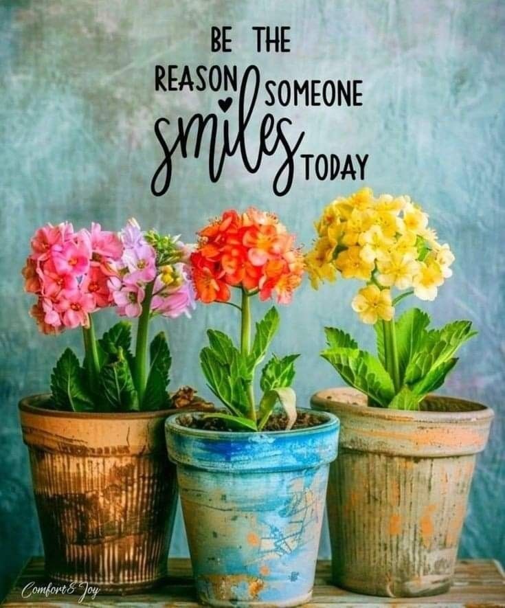 jaynielea's tweet photo. Happy Sunday 🌷🌼☕️ https://t.co/4eHYbBOr1s